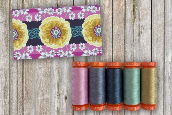 50wt Anna Maria Horner Mini Thread Collection - Kleines Aurifil Garnsortiment "Welcome Home" 