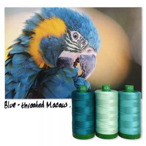 2021 Aurifil Color Builders -Endangered Species BOM &  Aurifil 50 wt. Garnsortimente Blue-Throated Macaw