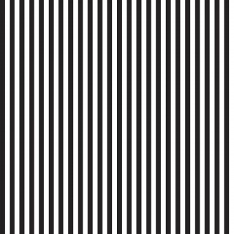 1/4" Quarter Inch Stripes Black & White - Schwarz-Weißer Streifenstoff - Riley Blake Basicstoffe Meterware 
