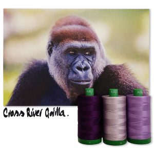 2021 Aurifil Color Builders - Endangered Species BOM &  Aurifil 40 wt. Garnsortimente Cross River Gorilla
