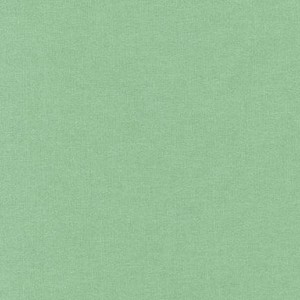 Asparagus / Spargelgrün - Kona Cotton Solids Unistoffe  