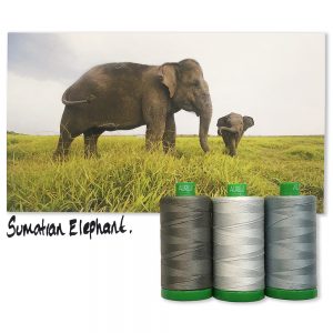 2021 Aurifil Color Builders - Endangered Species BOM &  Aurifil 40 wt. Garnsortimente Sumatran Elephant
