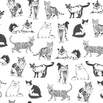Schwarz-Weißer Katzenstoff - White Sketched Realistic Cats - Timeless Treasures Motivstoff mit Kätzchen 